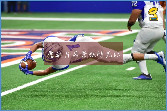 愿这片风景独特无比